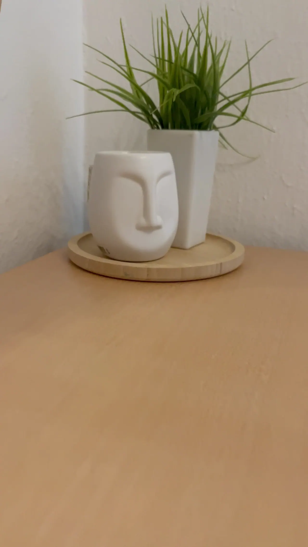 Escritorio de madera con planta decorativa