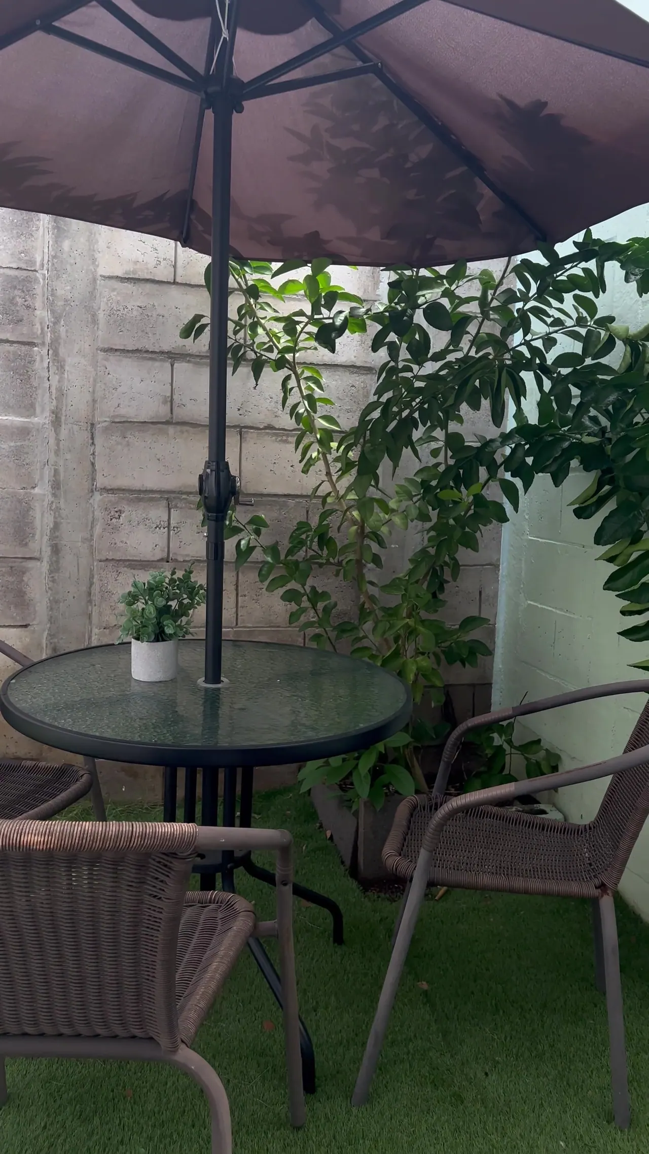 Patio con mesa de vidrio, sillas y sombrilla